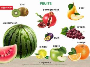 Раскраска фрукты на английском #34 #544542