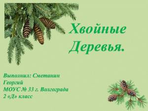 Раскраска хвойные деревья 1 класс #38 #546817