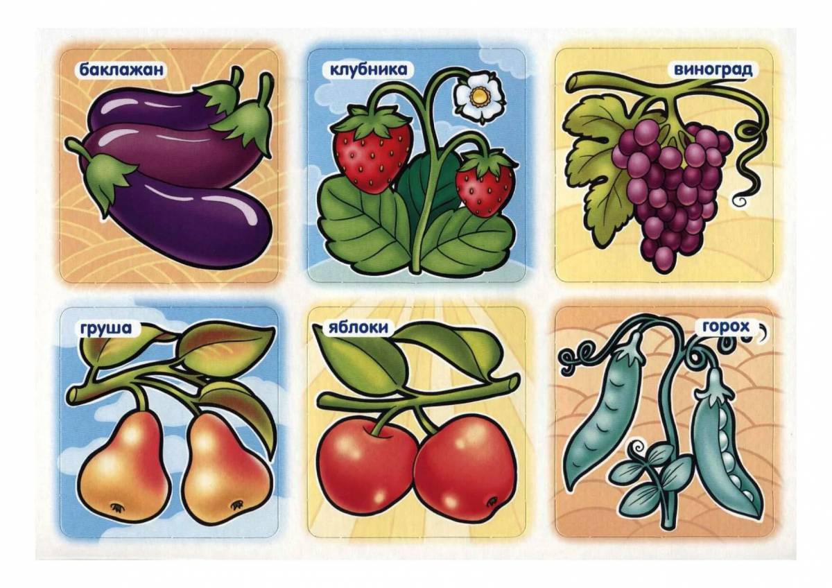 Фрукты и овощи и ягоды 4 5 лет #21