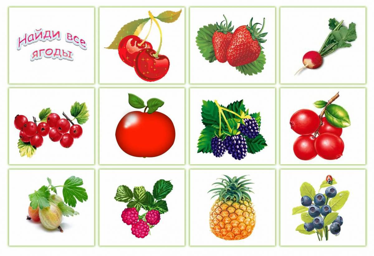 Фрукты и овощи и ягоды 5 6 лет #1