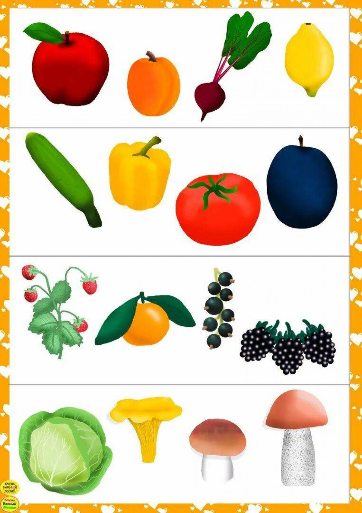 Фрукты и овощи и ягоды 5 6 лет #13