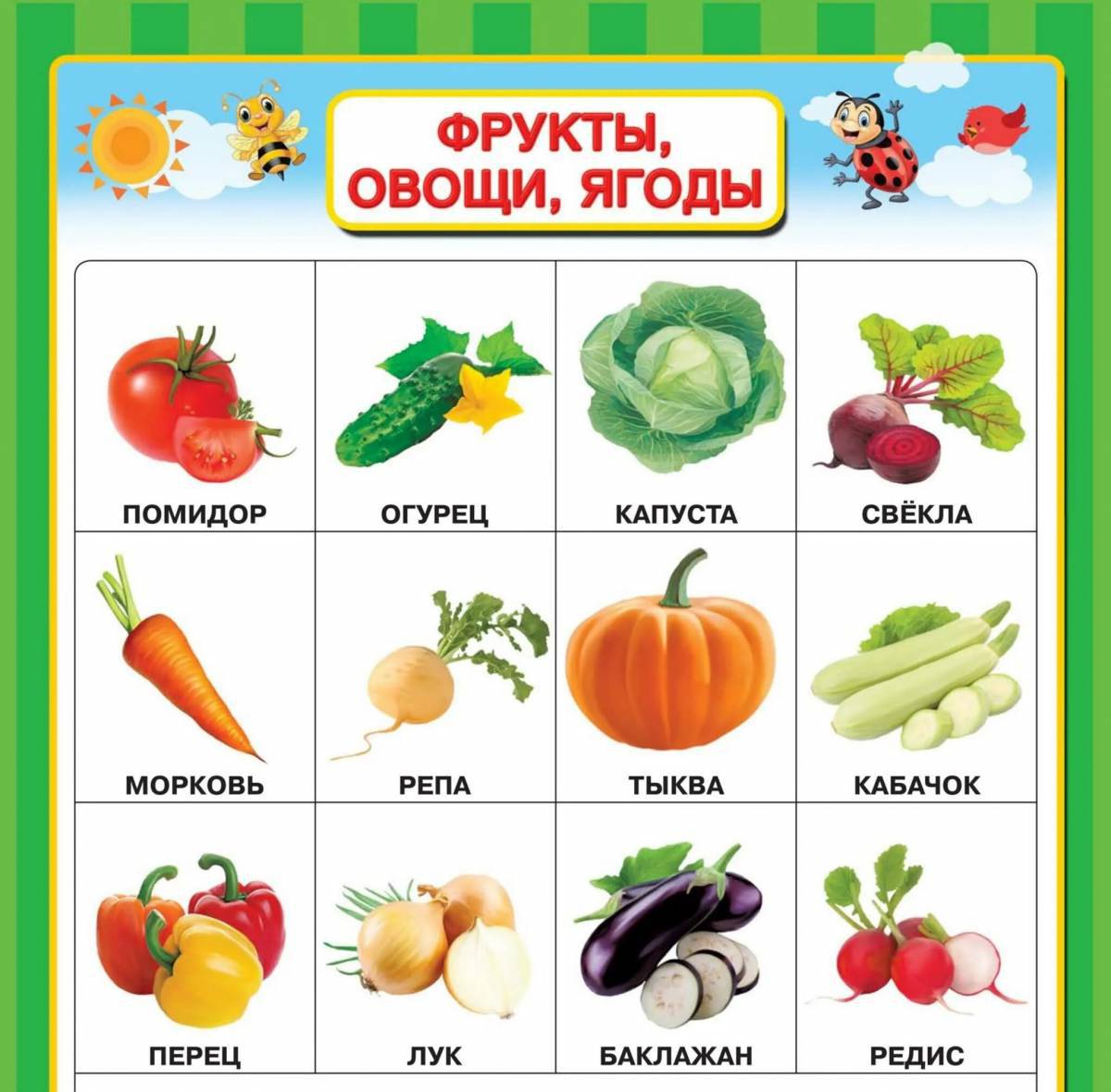 Фрукты и овощи и ягоды 5 6 лет #17