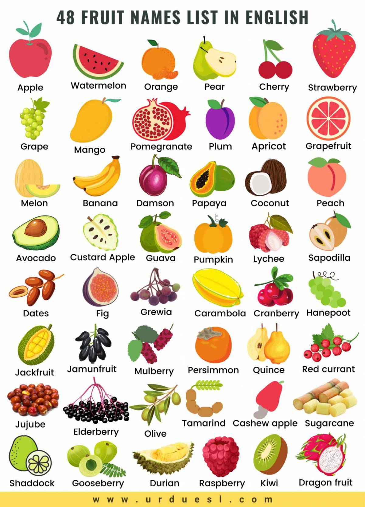 фрукты список названий и фото
