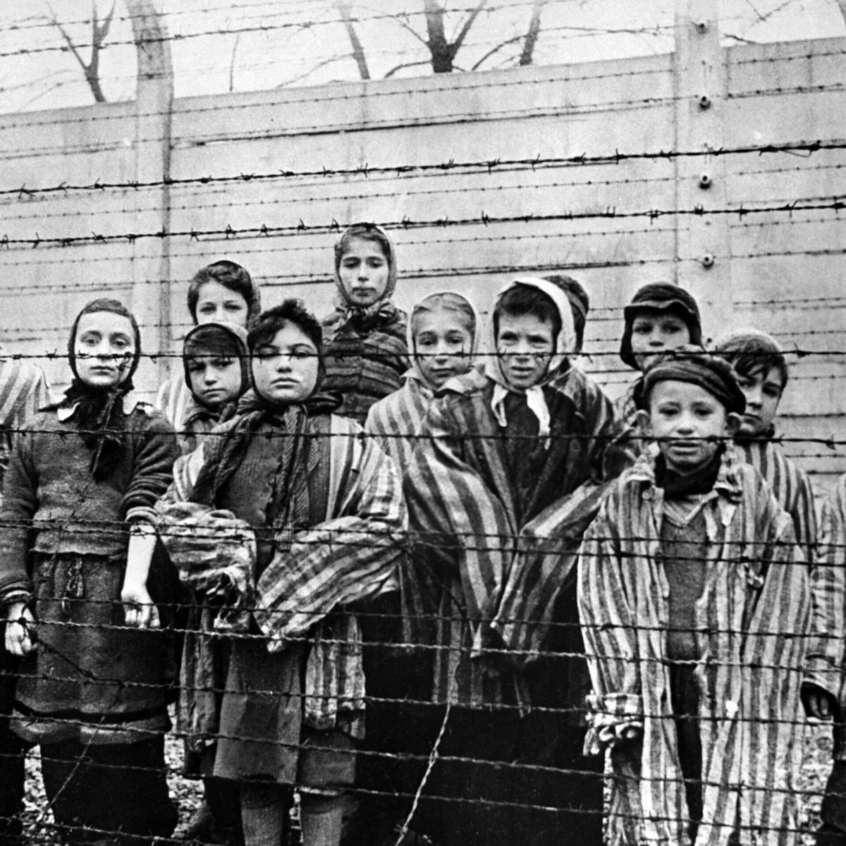 Холокост для детей #14