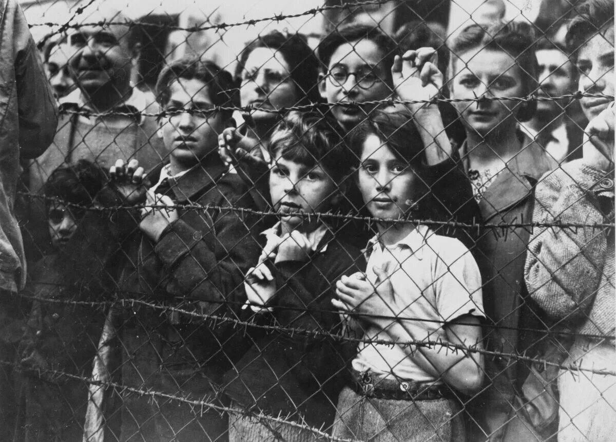 Холокост для детей #36
