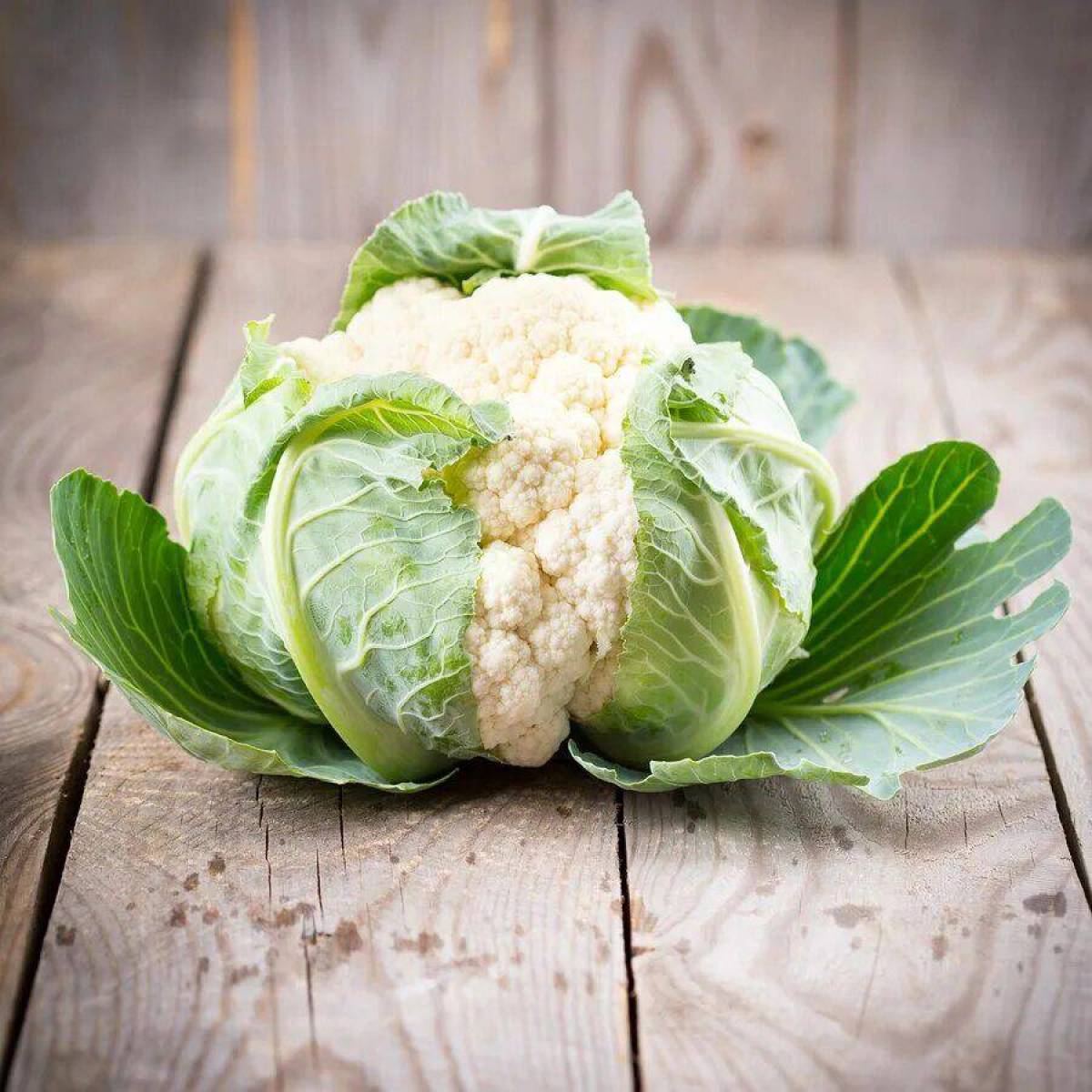 Цветная капуста это. Капуста Cauliflower. Белокочанная капуста и цветная капуста. Цветная капуста это крестоцветные. Кочан цветной капусты.