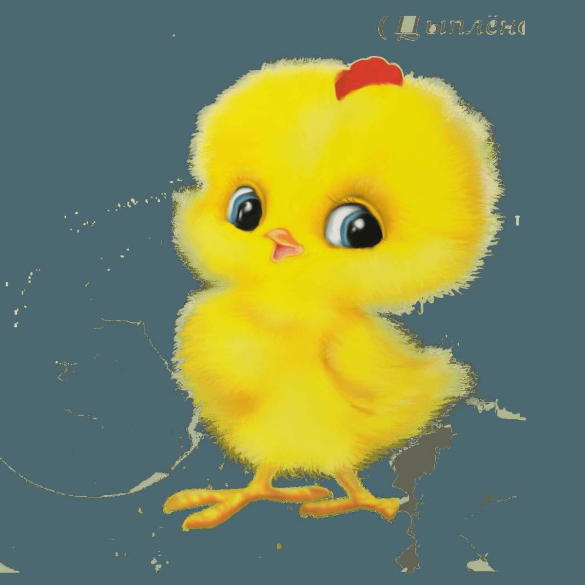 Цыпленок картинка для детей