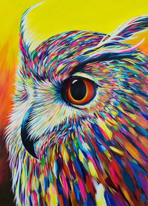 Раскраска цветная сова #8 #552020