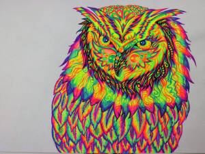 Раскраска цветная сова #17 #552029