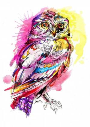 Раскраска цветная сова #22 #552034