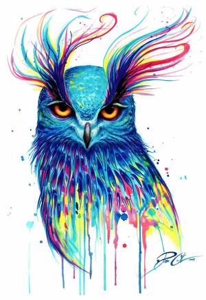 Раскраска цветная сова #35 #552047