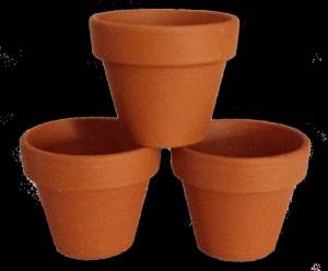 Раскраска цветочный горшок #19 #552993