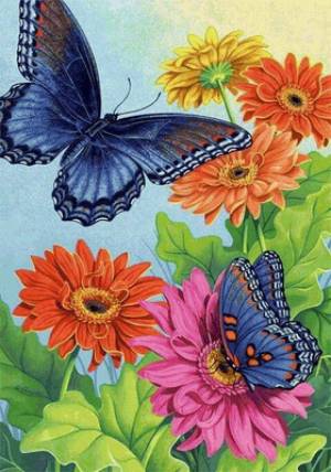 Раскраска цветы и бабочки #25 #553339
