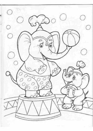 Раскраска цирк для детей 5 6 лет #2 #554117