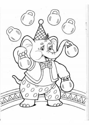 Раскраска цирк для детей 5 6 лет #12 #554127