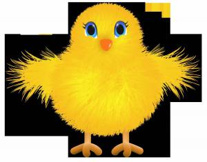 Раскраска цыпленок картинка для детей #4 #555001