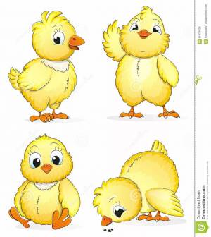 Раскраска цыплята для детей 6 7 лет #9 #555041