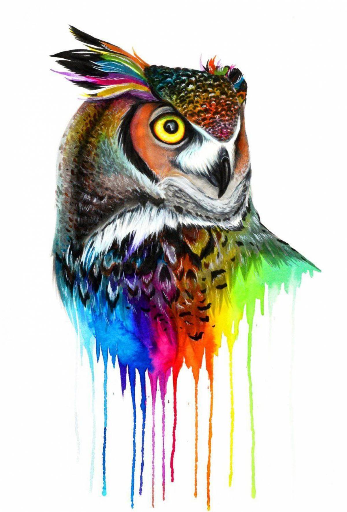 Цветная сова #38
