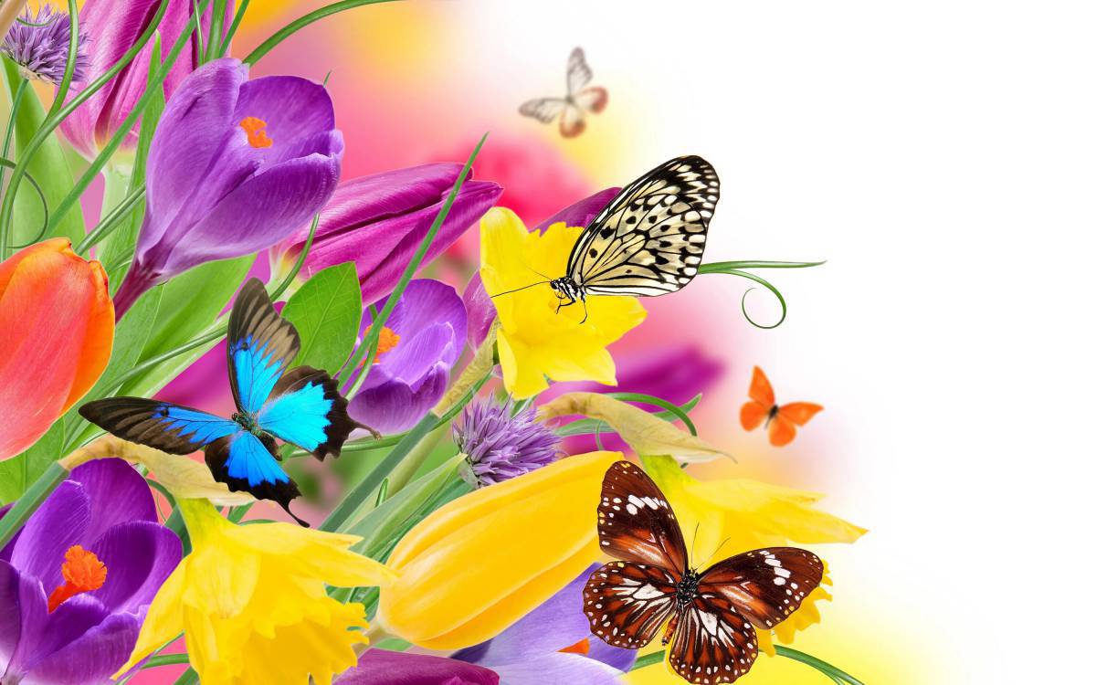 Цветы и бабочки #5
