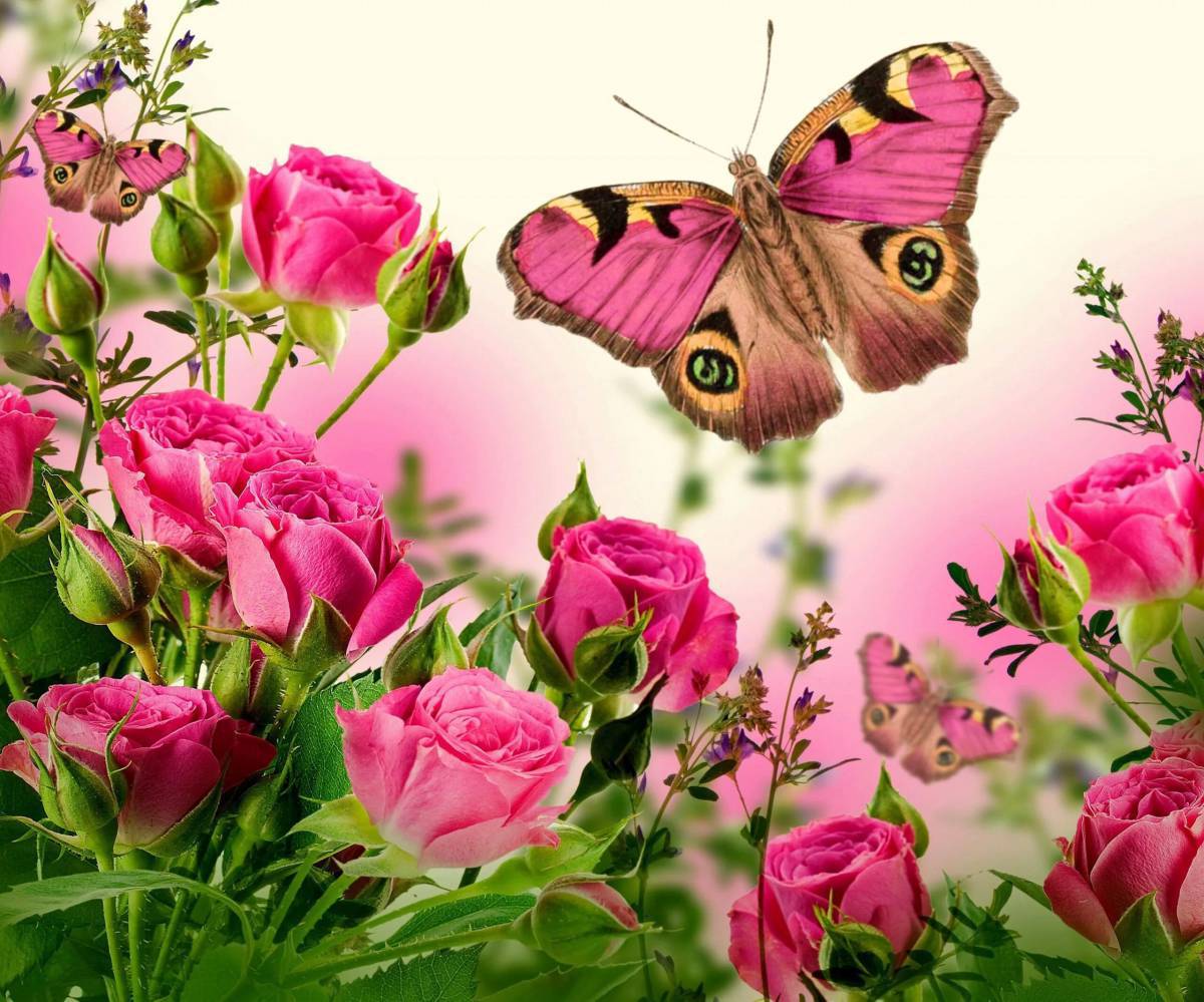 Открытка Бабочки и цветы (с блестками)