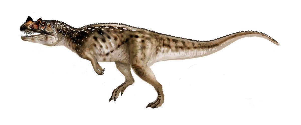 Цератозавр #6