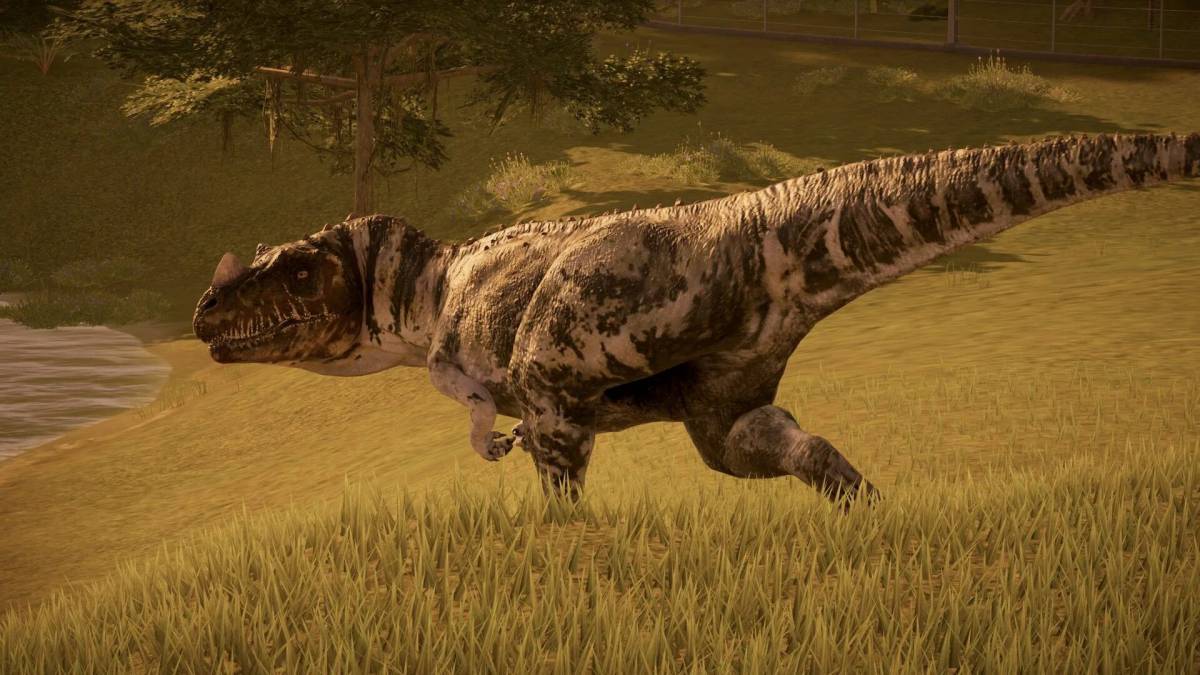 Цератозавр #13