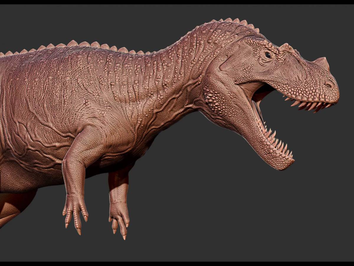 Цератозавр #16