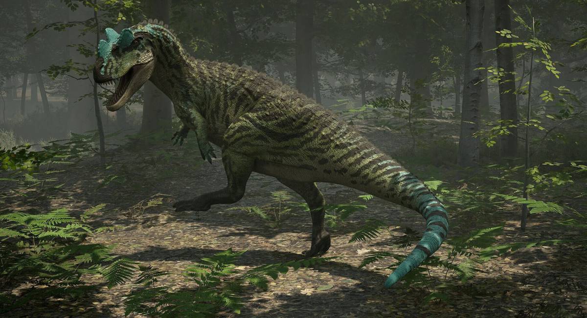 Цератозавр #26