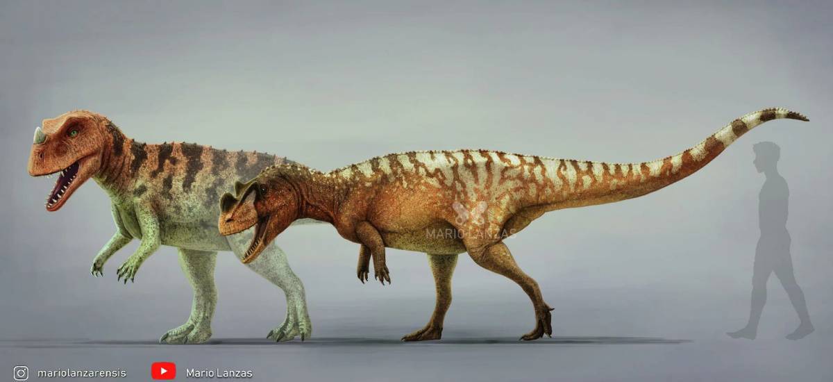 Цератозавр #27