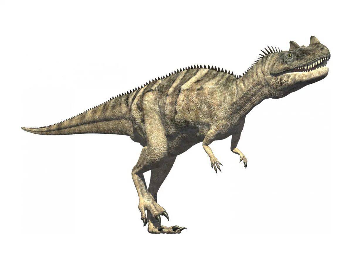 Цератозавр #36