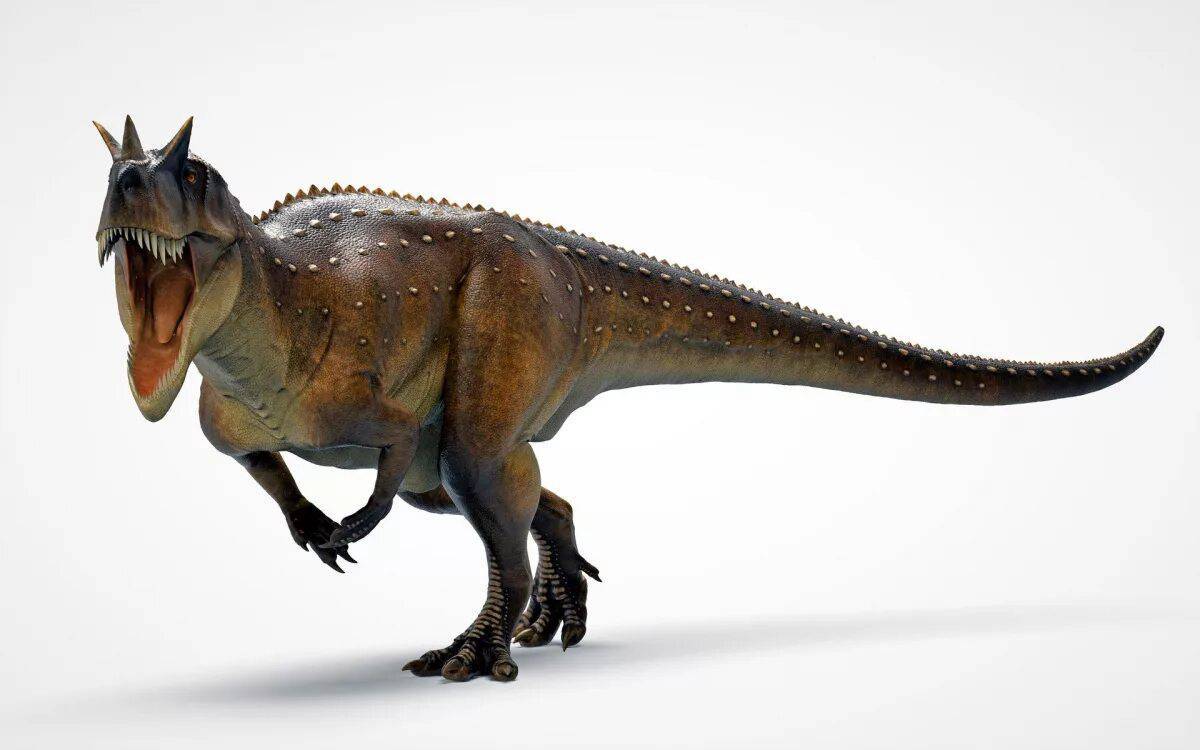 Цератозавр #37
