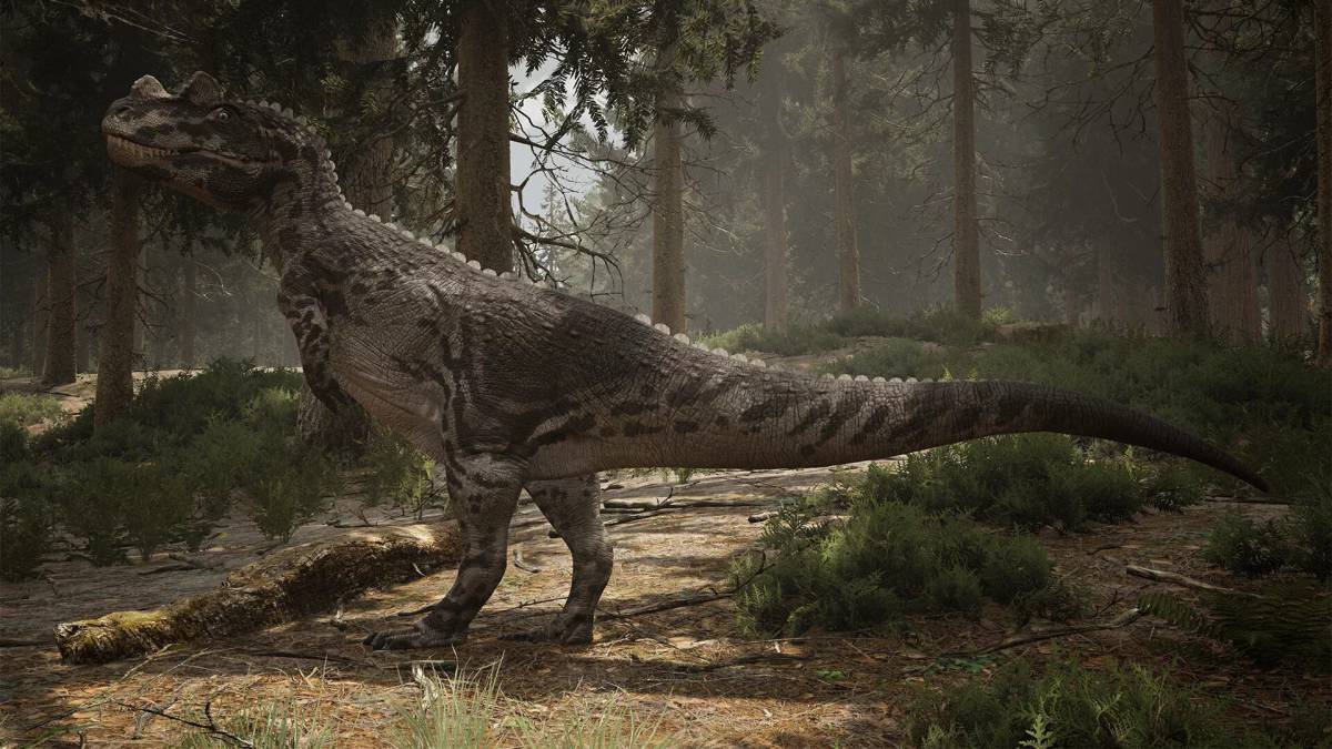 Цератозавр #39