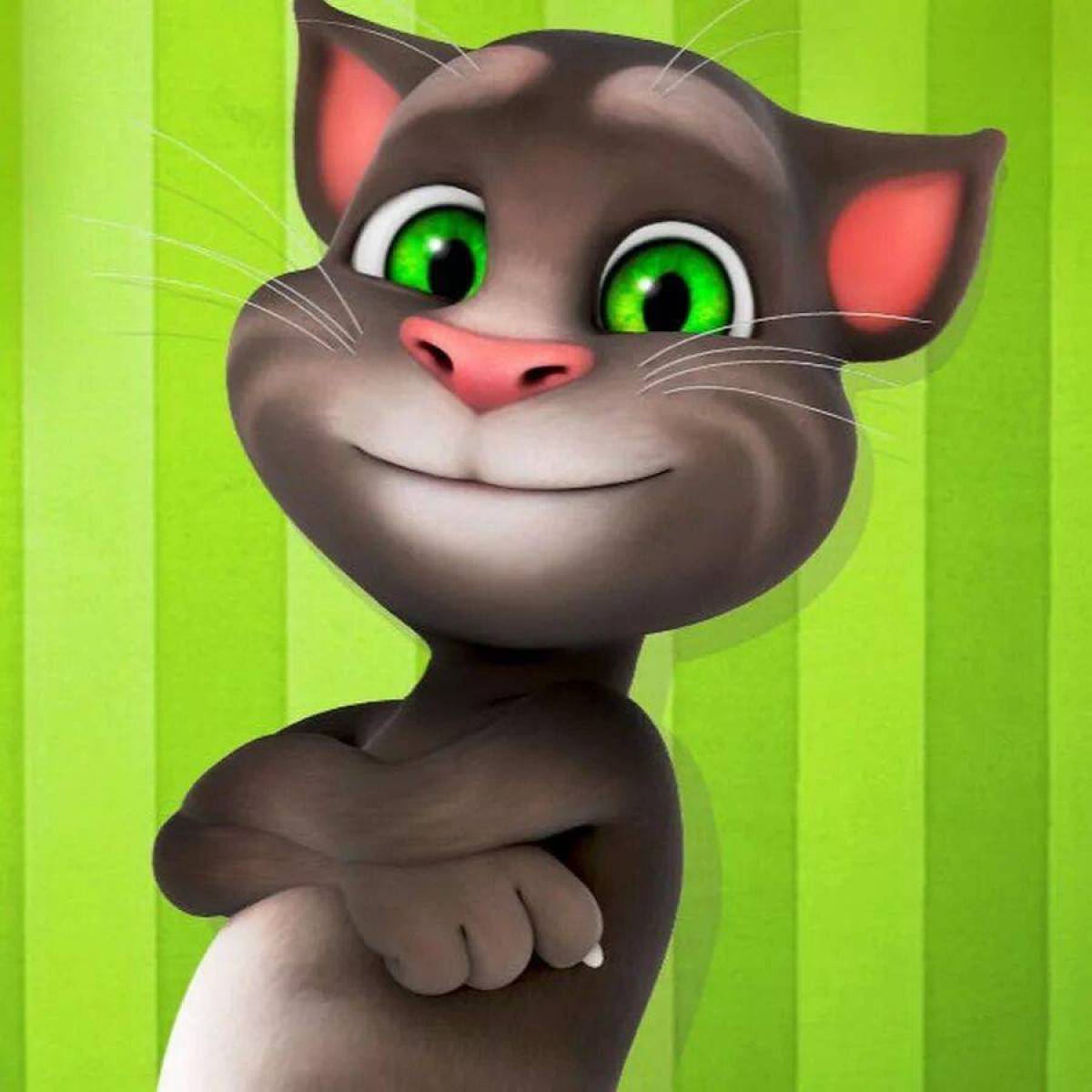 Мой говорящий мужик. Talking Tom. Том и его друзья.