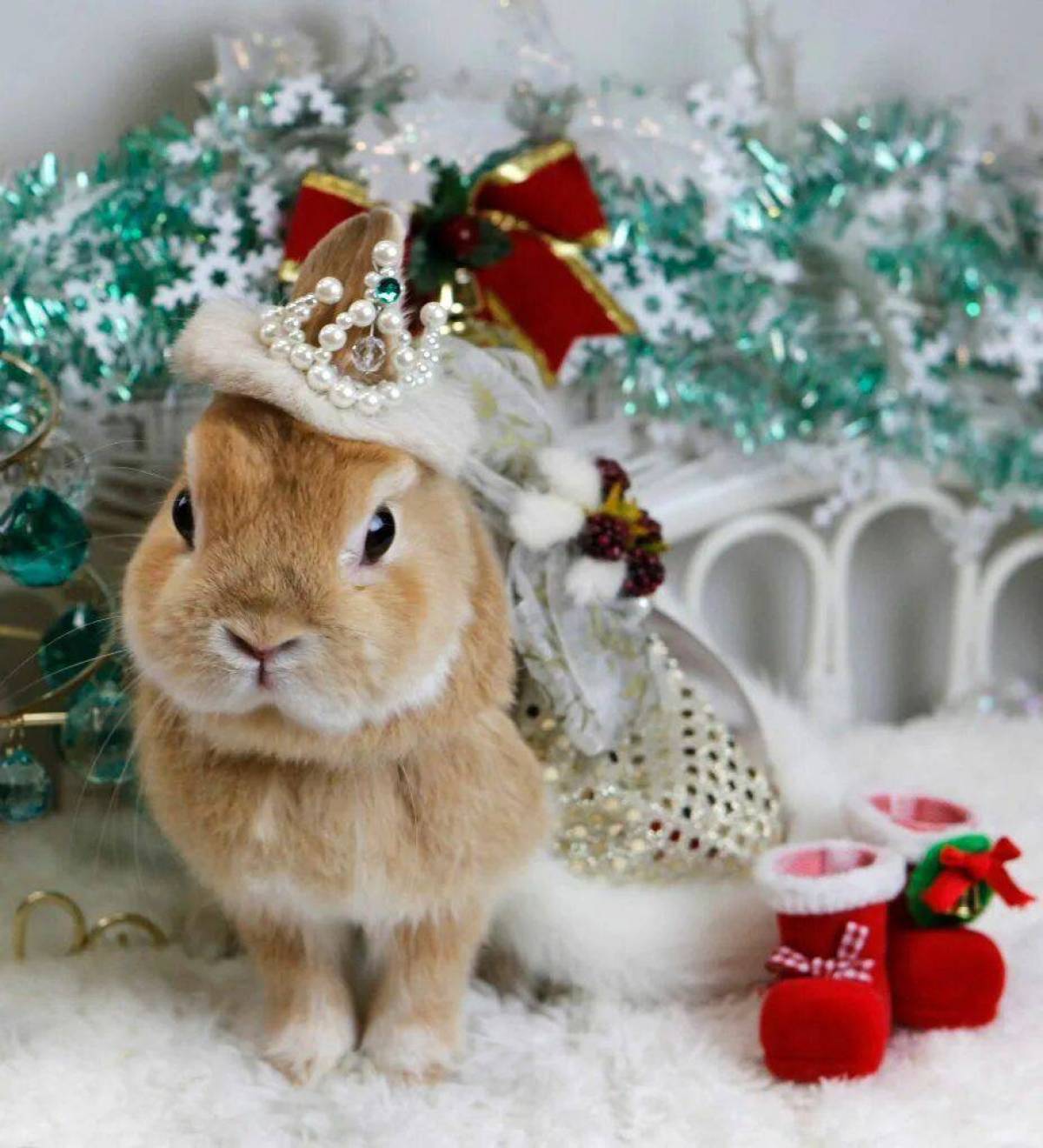 Год кролика хороший. Новогодние животные. Новогодний кролик. Новогодний заяц. Зайчик новый год.