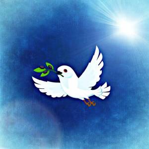 Раскраска голубь мира для детей #8 #53452