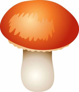 Раскраска грибочек #3 #54164