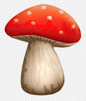 Раскраска грибочек #23 #54184