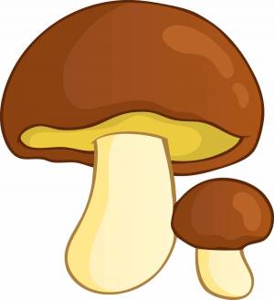 Раскраска грибы для детей #4 #54194