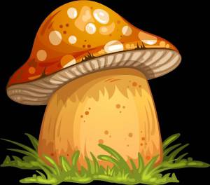 Раскраска грибы для детей #6 #54196