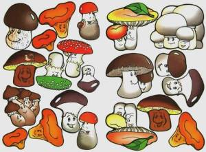 Раскраска грибы для детей #7 #54197
