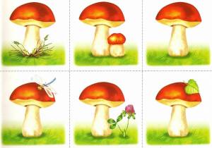 Раскраска грибы для детей #8 #54198