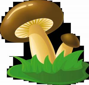 Раскраска грибы для детей #11 #54201