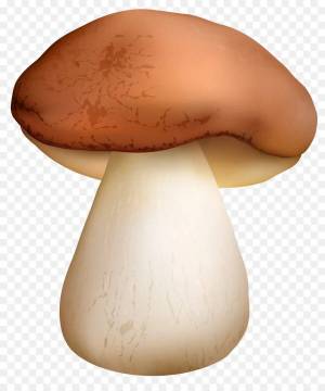Раскраска грибы для детей #12 #54202
