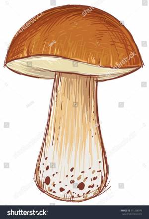 Раскраска грибы для детей #13 #54203