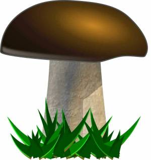 Раскраска грибы для детей #14 #54204