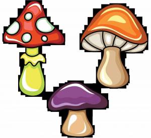 Раскраска грибы для детей #15 #54205