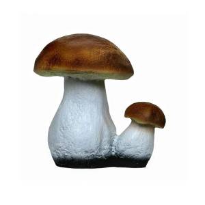 Раскраска грибы для детей #16 #54206