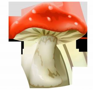 Раскраска грибы для детей #17 #54207