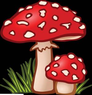 Раскраска грибы для детей #18 #54208