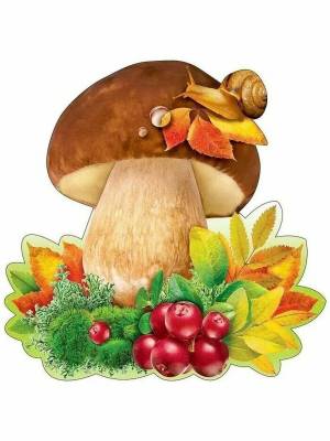 Раскраска грибы для детей #19 #54209
